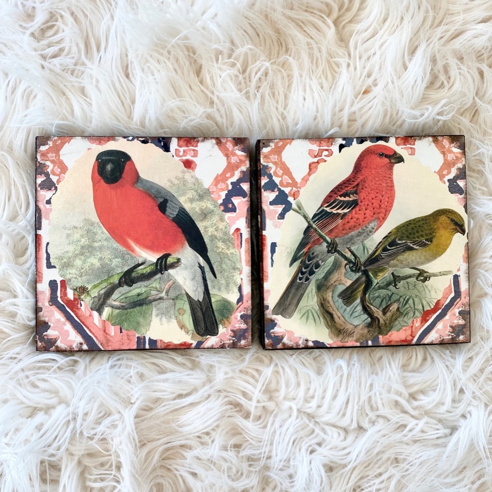 Boho Prints of Birds on Colorful Wall Art